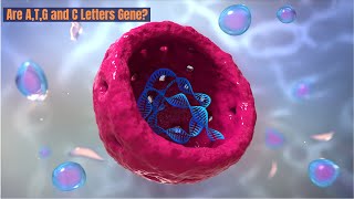 Genes, Alleles and Chromosomes | Easy Explanation| Genetics 101 #genes #biology #cell