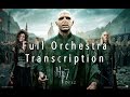 Alexandre Desplat Lily S Theme COVER Full Orchestra 