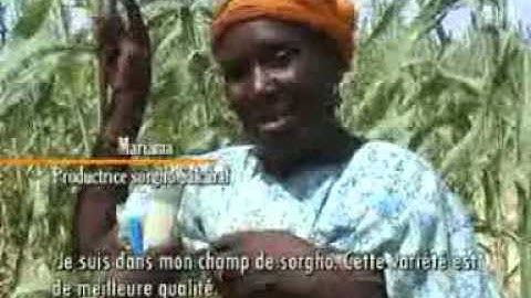 Implementing NAPA Priority Interventions to Build Resilience and Adaptive Capacity to Climate Change