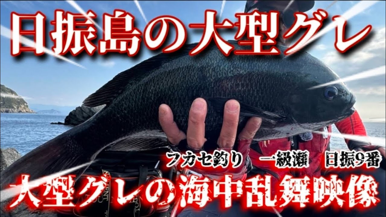 11月30日【フカセ釣り】愛媛県日振島　一級瀬　日振9番　大型グレ乱舞から釣れるまでの道のり【意地悪磯根】※下手くそやり取り右往左往笑！リベンジ日振島！#磯釣り#フカセ釣り#日振島釣り#グレ釣り#グレ