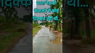          inspiration motivation lifequotes shorts shayari