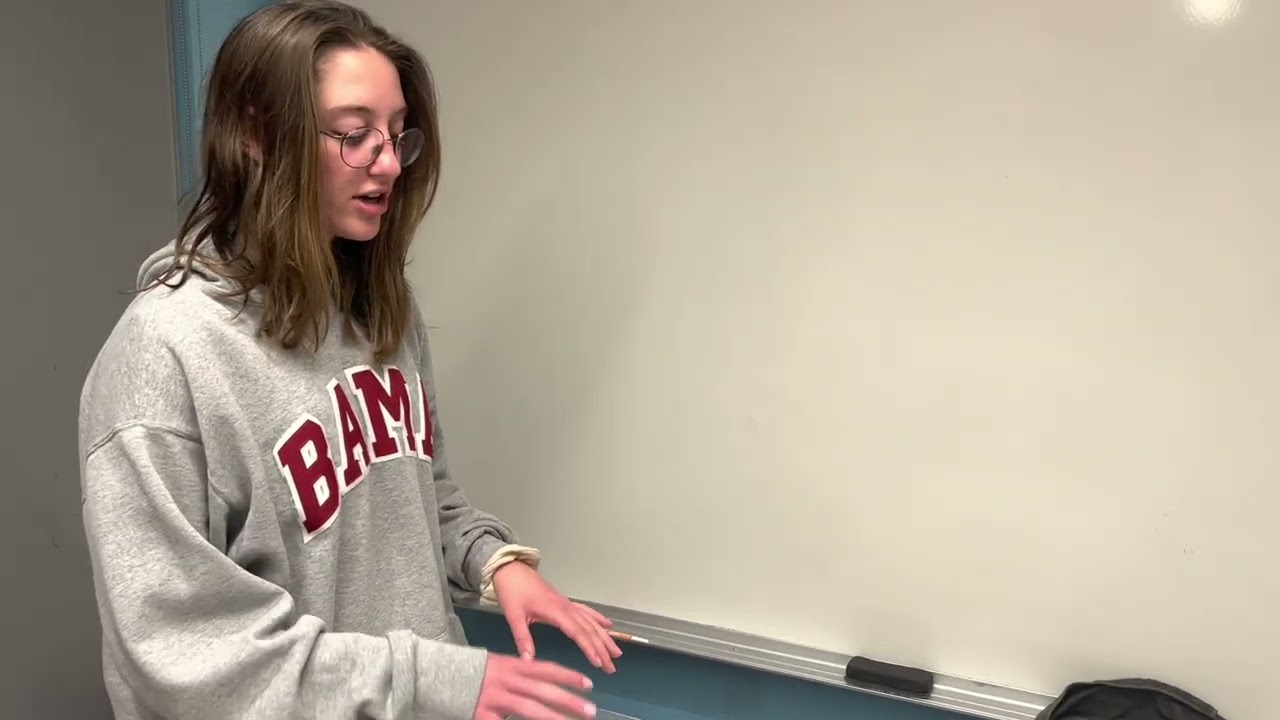 Laundry-Buddy - Hollins - Spring 2023