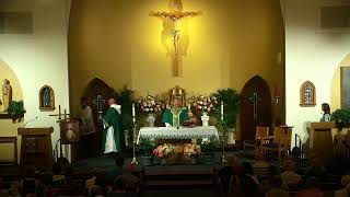 Eleventh Sunday in Ordinary Time