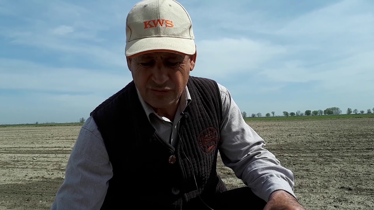 Первая химобработка посевов сахарной свёклы 2019