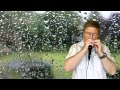 HARMONICA  &quot; en écoutant la pluie &quot; Sylvie Vartan