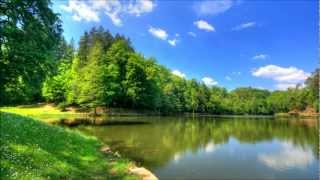 Kur'an-ı Kerim Tefsiri Zümer Suresi 3 (2-10 Temmuz 2002) (Anlatan: Mahmud Çanga)