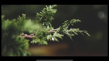 How to Install Linux Distro Elementary OS 0.4.1 Loki on Virtual Box in Windows 10.