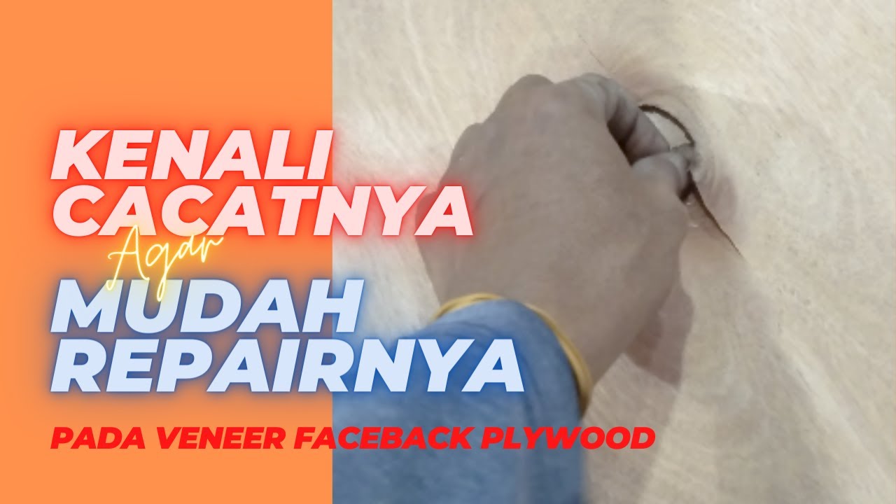 Jenis cacat veneer faceback yang harus di repair