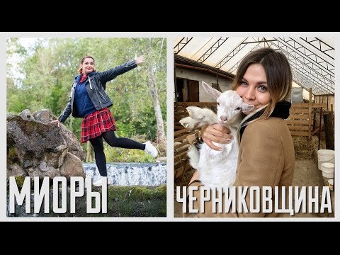 Камень, ножницы, бумага.