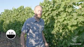 20 Seconds With Tom Tyler Rocks District