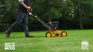 How to Remove Moss from your Lawn  Great Lawns Made Simple