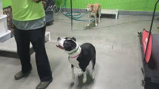 Jane: Foster highlight
