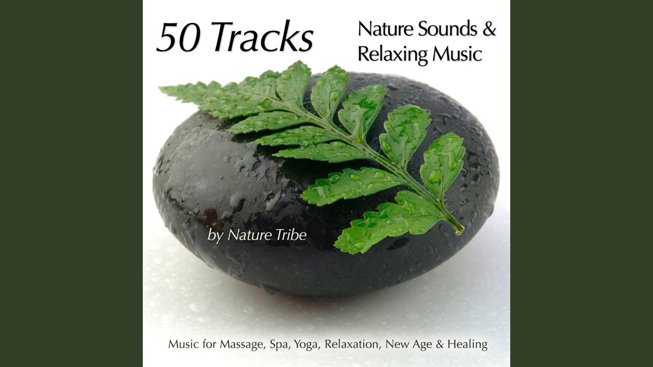 Night Secrets (Night Sounds, Tibetan Bowls & Japanese Flute for Spa