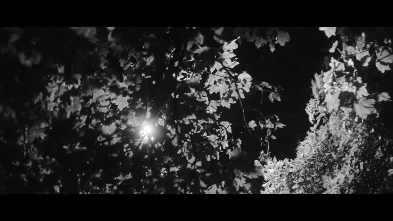 T.Williams feat TĀLĀ - On My Own (Official Video)