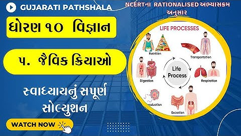 Std 10 Science Ch 5 | Jaivik Kriyao Swadhyay Solution | Dhoran10 Vignan Ch 5 Life Processes Swadhyay