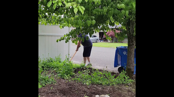 How to Quickly Weed Flower Beds and Gardens Without Being on your Hands and Knees