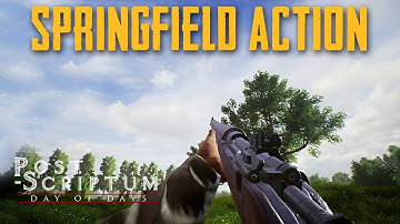 Post Scriptum Springfield rifle kills | Post Scriptum No Commentary Gameplay | Springfield rifle