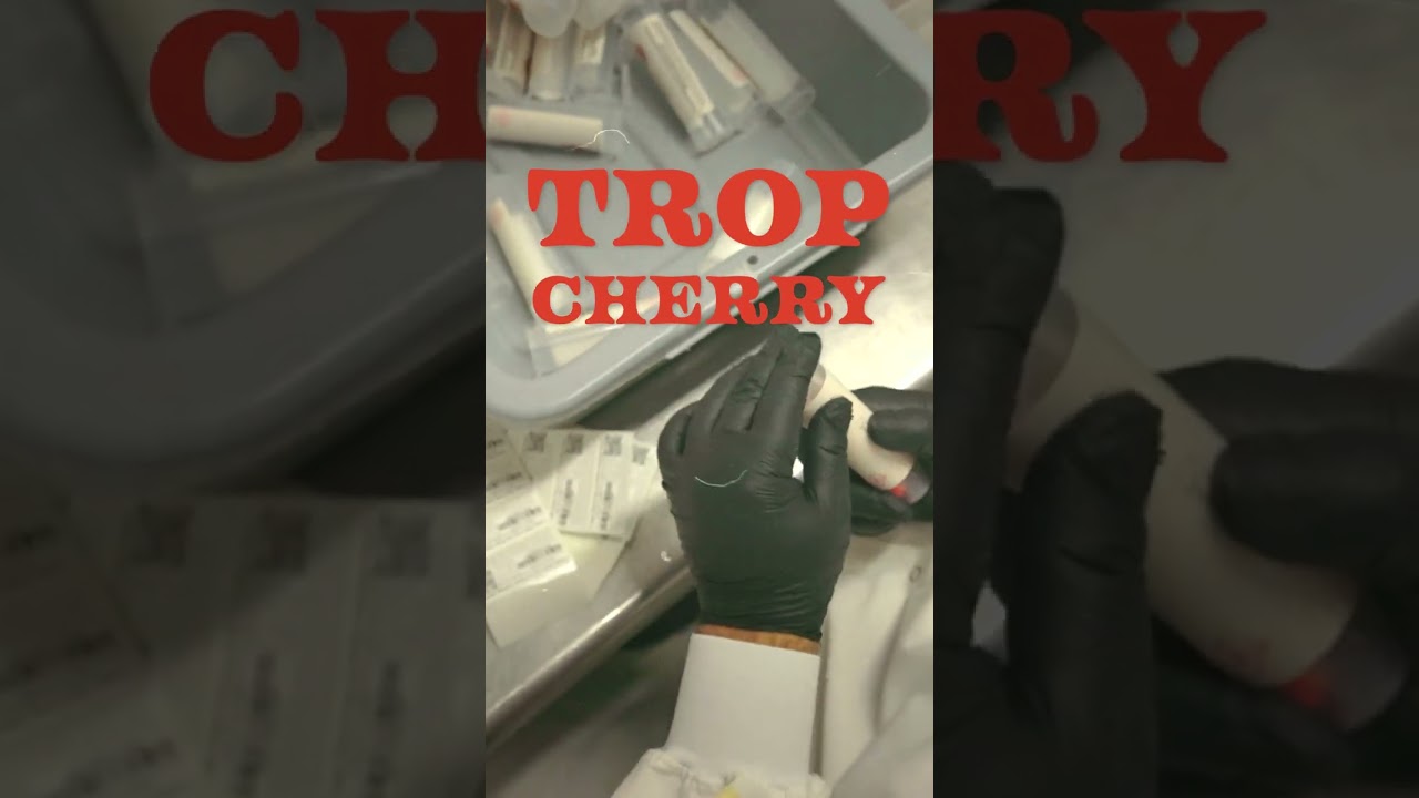 Trop Cherry Rosin Vape