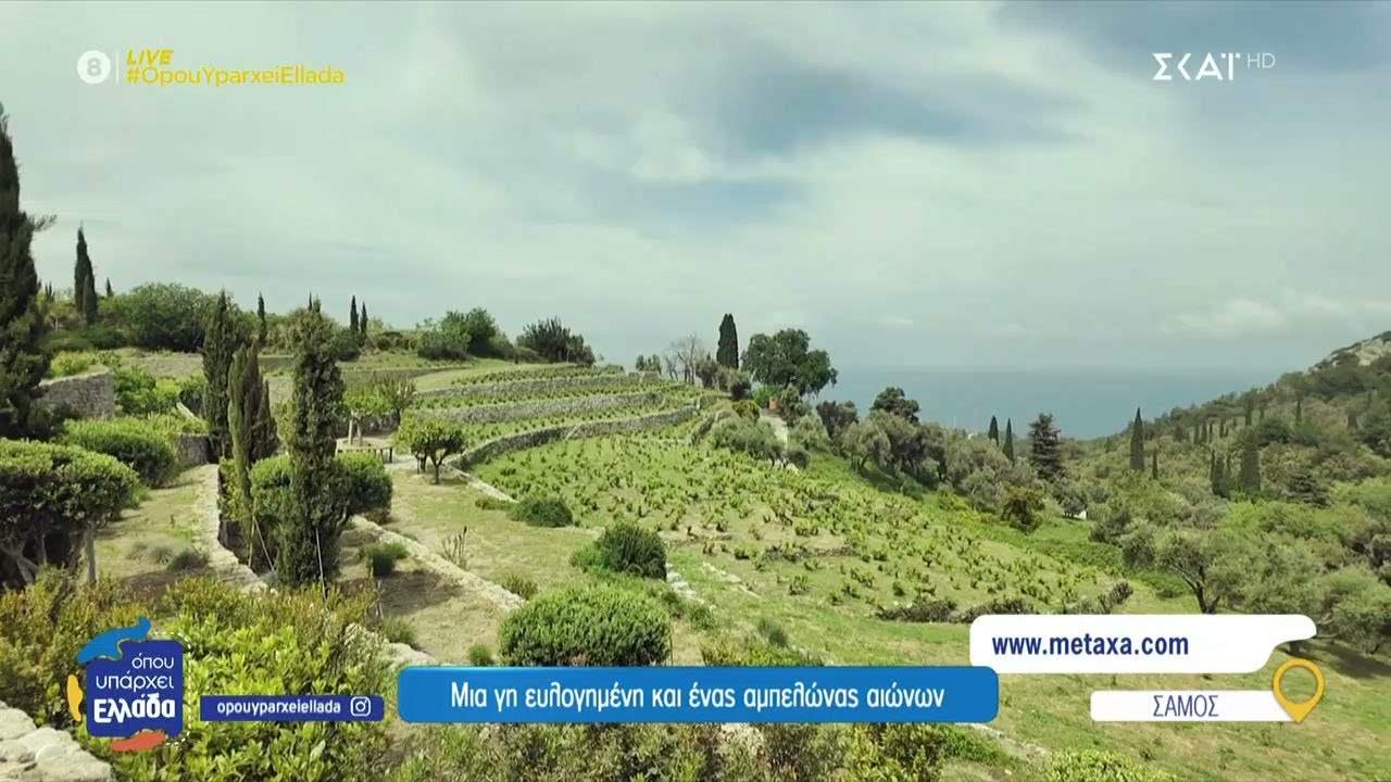 Σάμος: Μια γη ευλογημένη και ένας αμπελώνας αιώνων   | Όπου Υπάρχει Ελλάδα | 10/06/2025