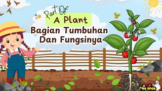 Bagian-bagian Tumbuhan dan Fungsinya | Materi IPAS | Kurikulum Merdeka