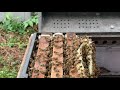 WeBee | beekeeping . beekeeper.