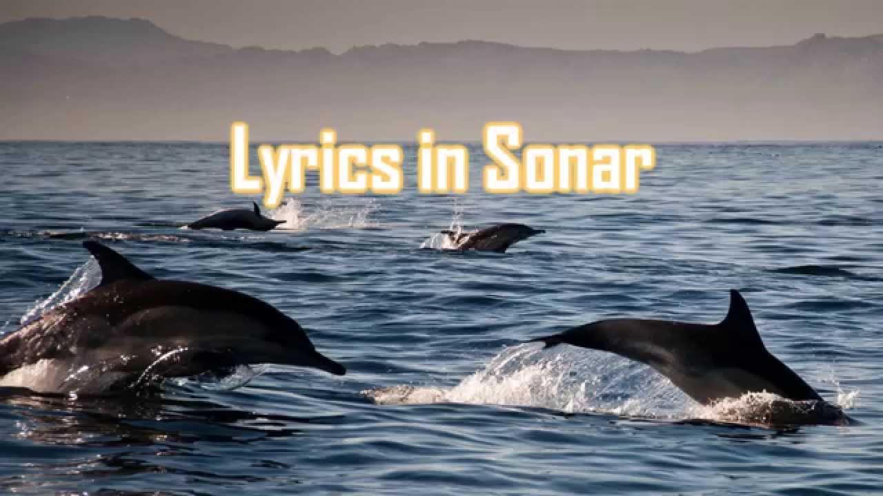 TeknoAXE's Royalty Free Music Lyrics in Sonar Dubstep/Chillstep