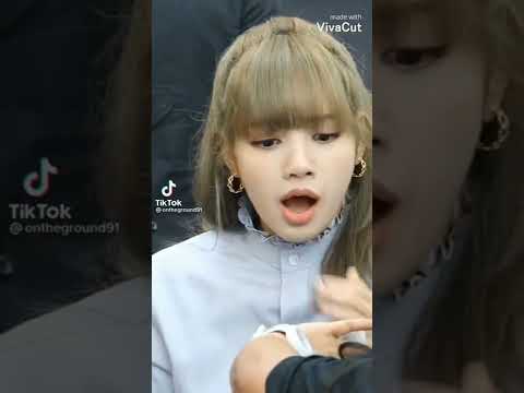 ليسا عندها اربع قطط او هي الخامسة