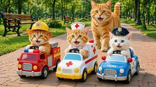 Live 🔴Mama Cat And Kitten ✨Funny Cat | Kucing 🌻 Cat Videos 😿 Cute Cat | Meow Meow screenshot 2
