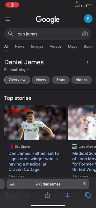 Dan James is a Fulham player