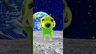 Uzayda Dans Eden Köpek