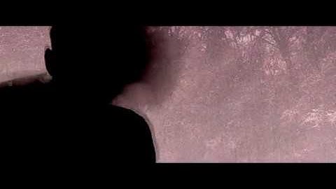 A Dreamy Party: Nonlinear Superposition (Rough Cut)