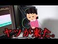 【閲覧注意】毎年恒例の相棒が挨拶しに来てくれた件