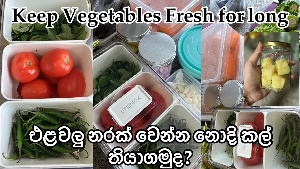 එළවළු කල් තියා ගමුද? ( How to keep vegetables fresh ) YouTube