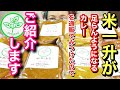 【大食い】飯がめちゃくちゃ進むカレー！通販で見つけました！