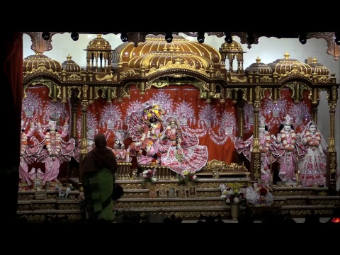 Gaura Arati 5/24/18 center for reproductive rights