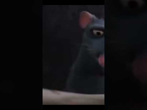 الفار الطباخ لو ركزت علي الي ضاع منك