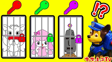 サンサンキッズtv パウパトロール