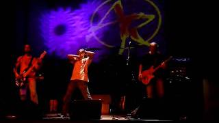 Avas Revenge Rise Above This