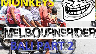 Happy Endings, Hooning and Monkeys