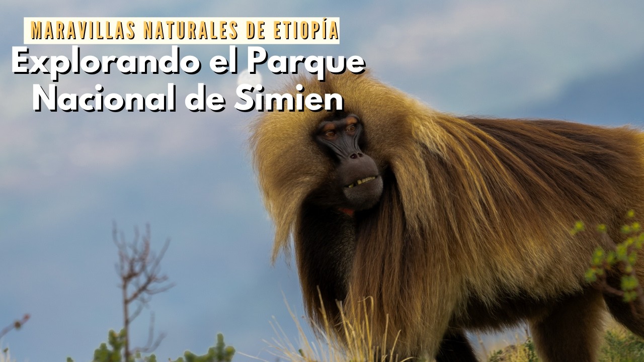 Maravillas Naturales de Etiopía Explorando el Parque Nacional de