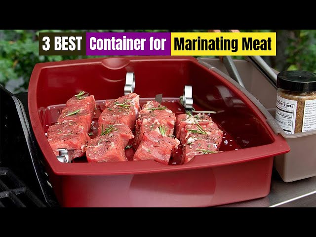 Best Container for Marinating Meat of 2023 [Updated] 
