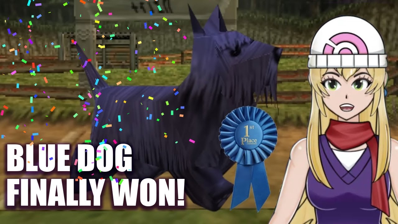 Reacting to Why Majora's Mask's Blue Dog Took 25 Years to Win the Race ...
