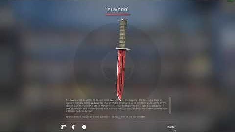 Bayonet Slaughter Factory New + Hydra Gloves Emerald Minimal Wear