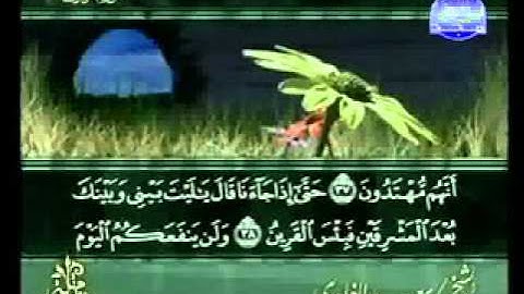 سورة الزخرف الشيخ سعد الغامدي