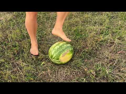 trying to play football barefoot with a watermelon