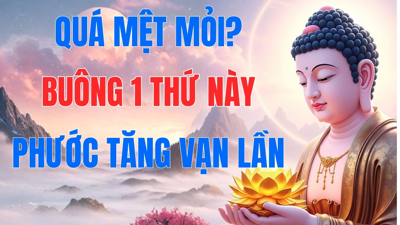 Lời Phật Dạy: Buông Ngay 1 Thứ Này Khi Quá Mệt Mỏi Để Tâm Bình An, Phước Báu Tăng Gấp Bội