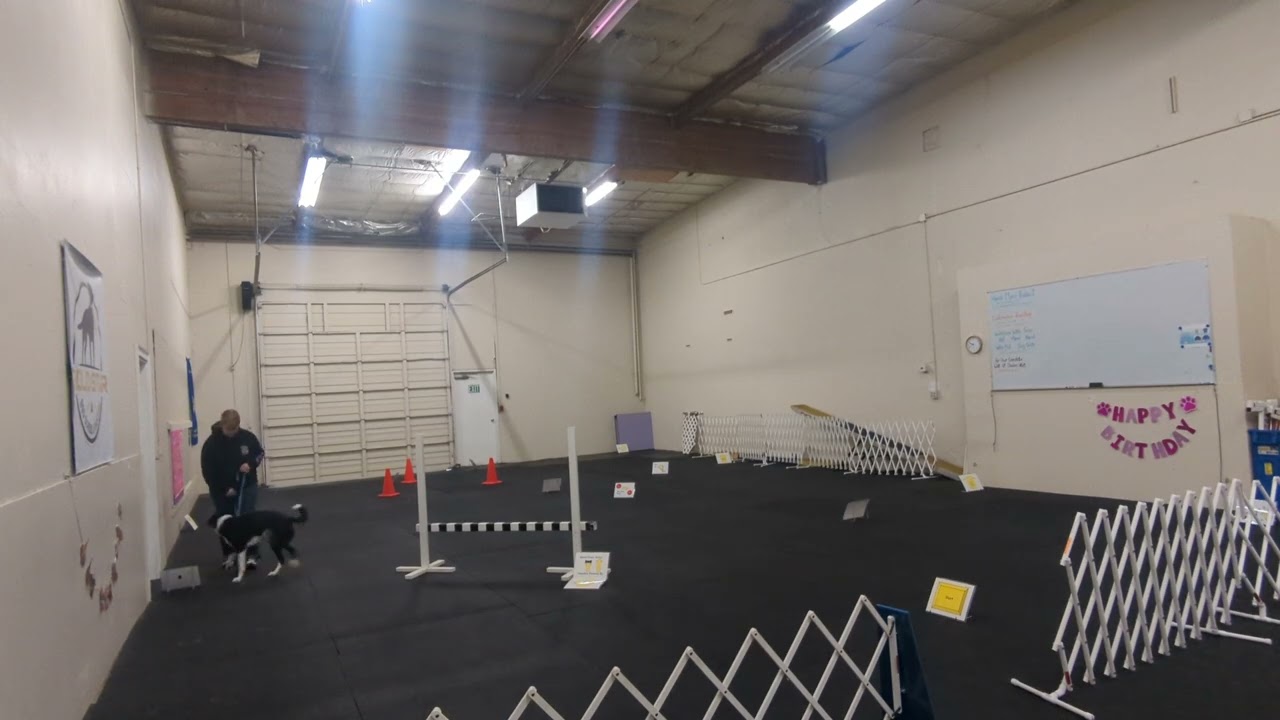Arrow's Obedience Foundation -- Rally practice 1.11.26