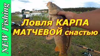 Ловля КАРПА матчевой снастью