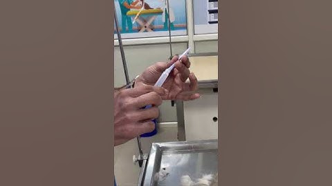 HOW TO DO HORMONAL IMPLANT IN DOGS || SUPRELORIN ||VIRBAC