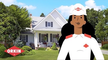 What to Expect: Orkin’s Mosquito Control